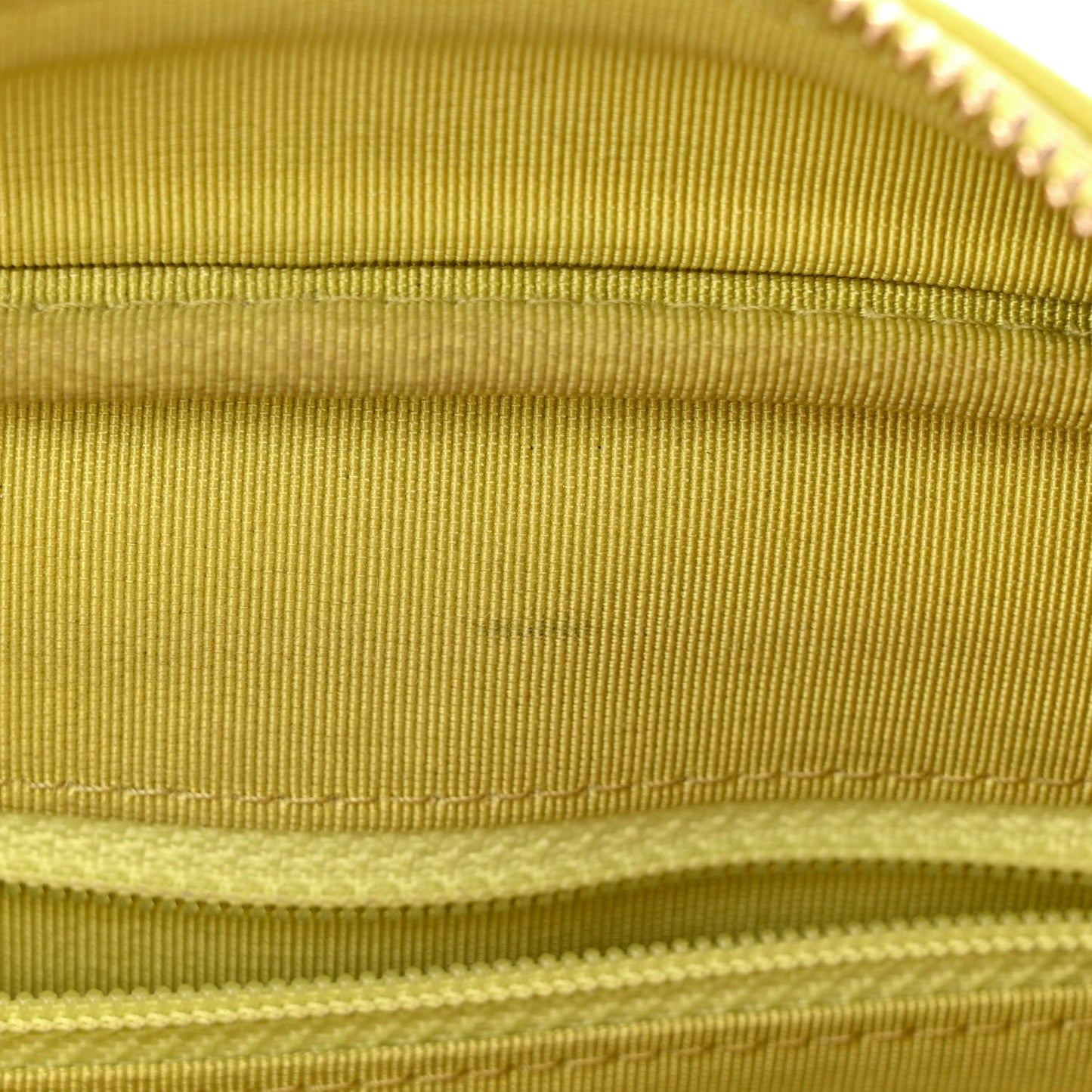 Calfskin Quilted Daily Chevron Camera Case Light Green