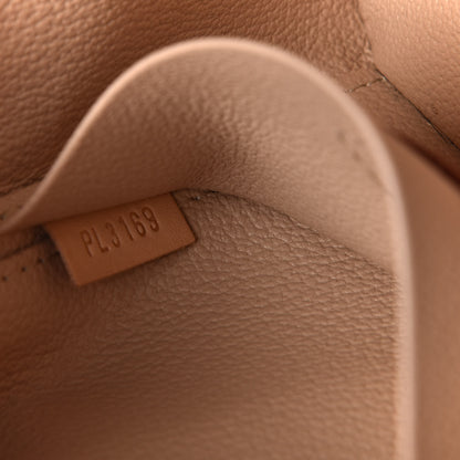 Louis Vuitton Monogram Nice Mini 8 of 10