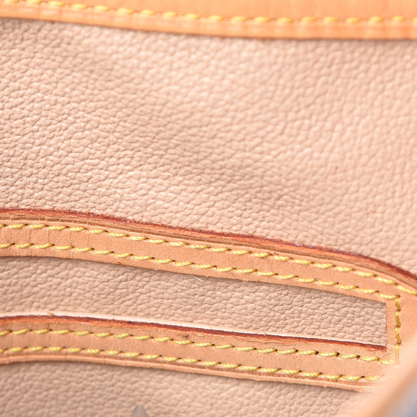 Monogram Petit Bucket 23