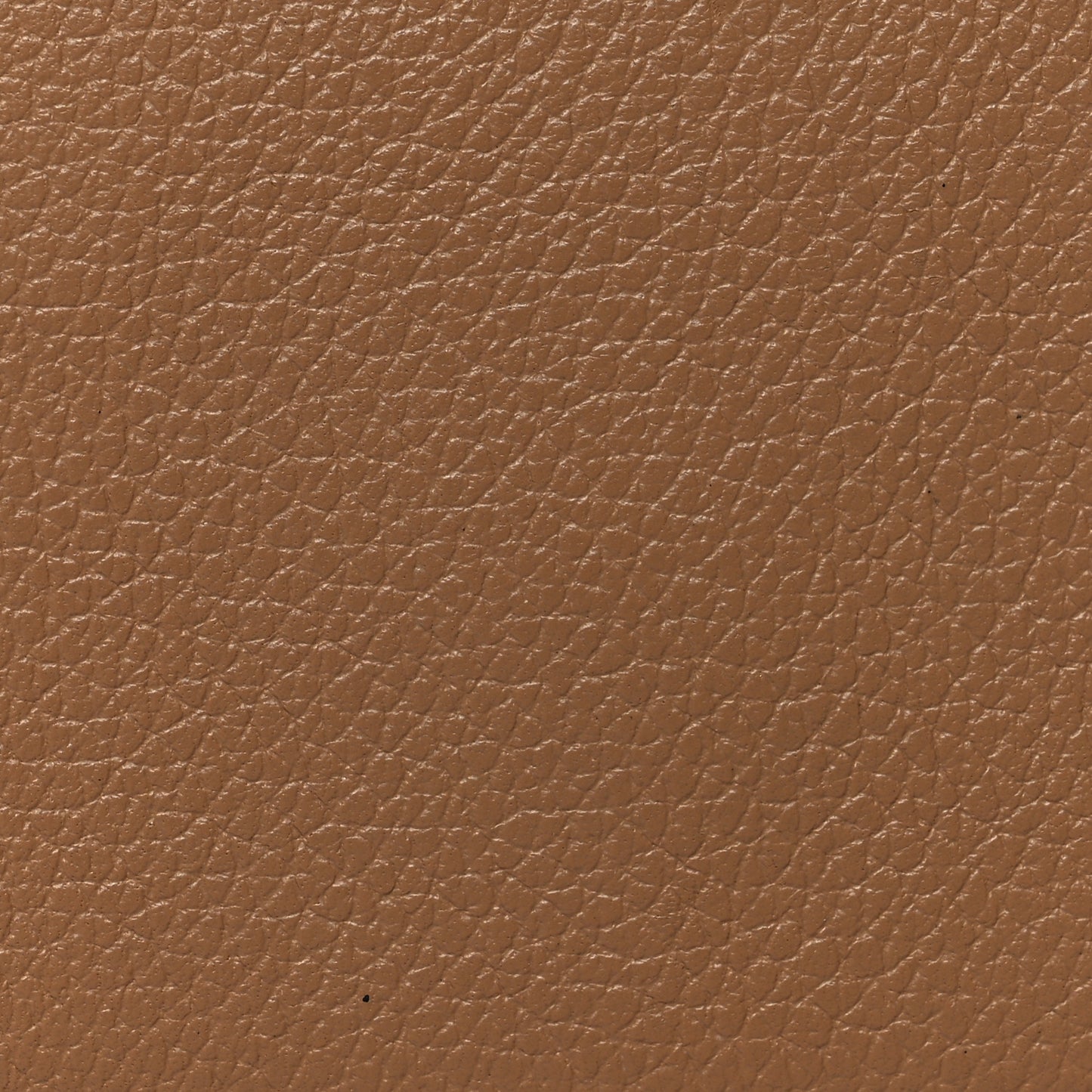 Evercolor Calvi Card Case Chai