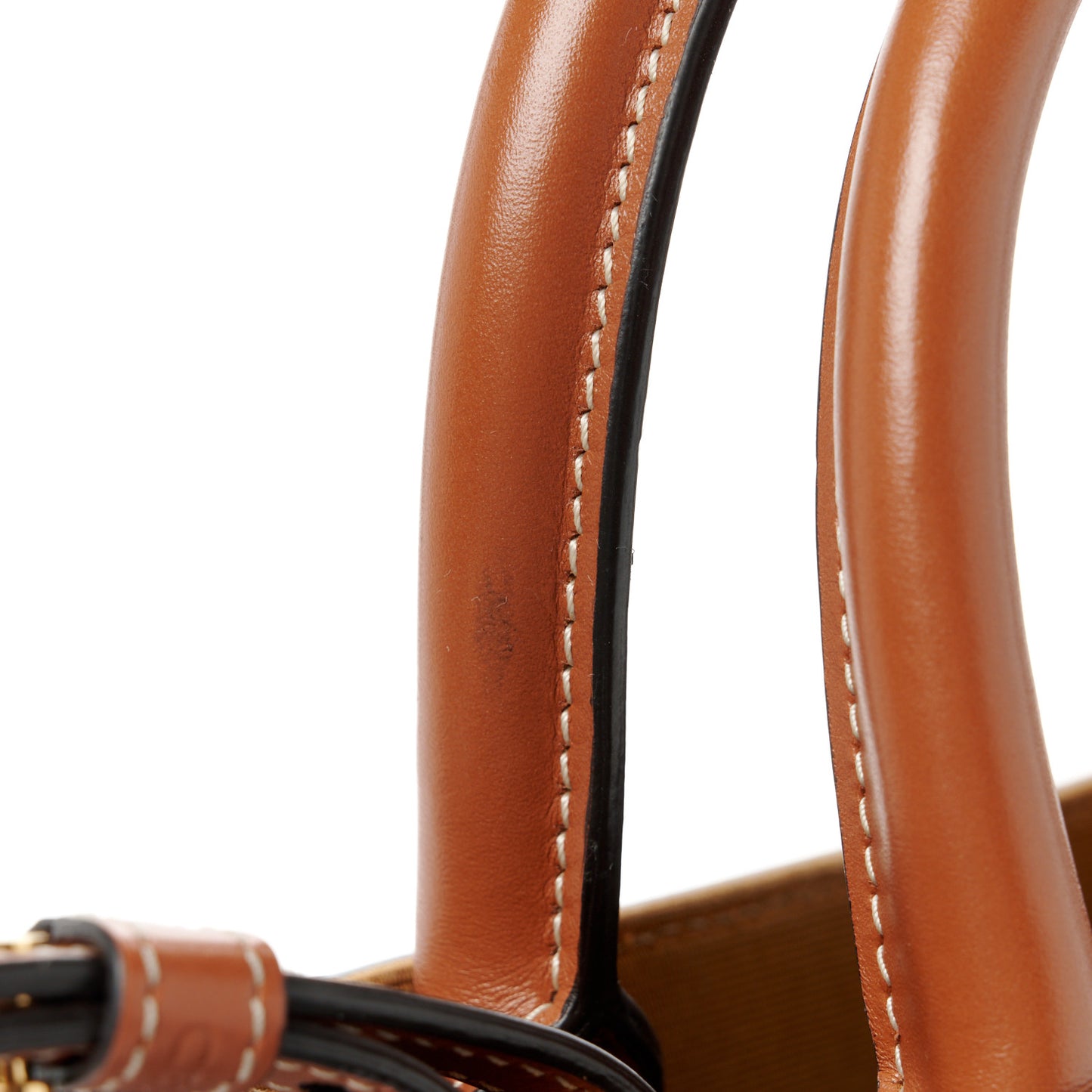 Triomphe Canvas Calfskin Mini Vertical Cabas Tan