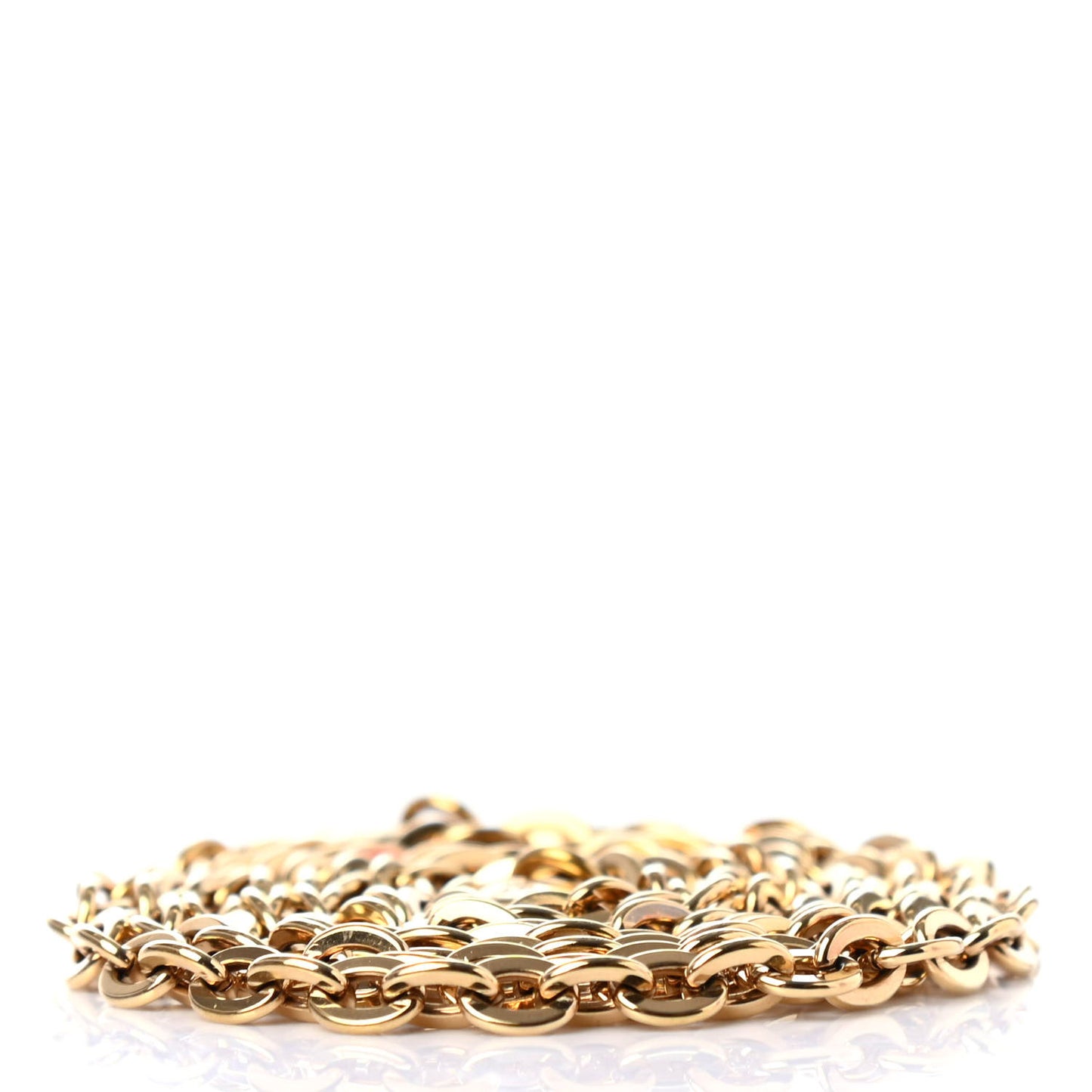 Felicie Chain Long Shoulder Strap