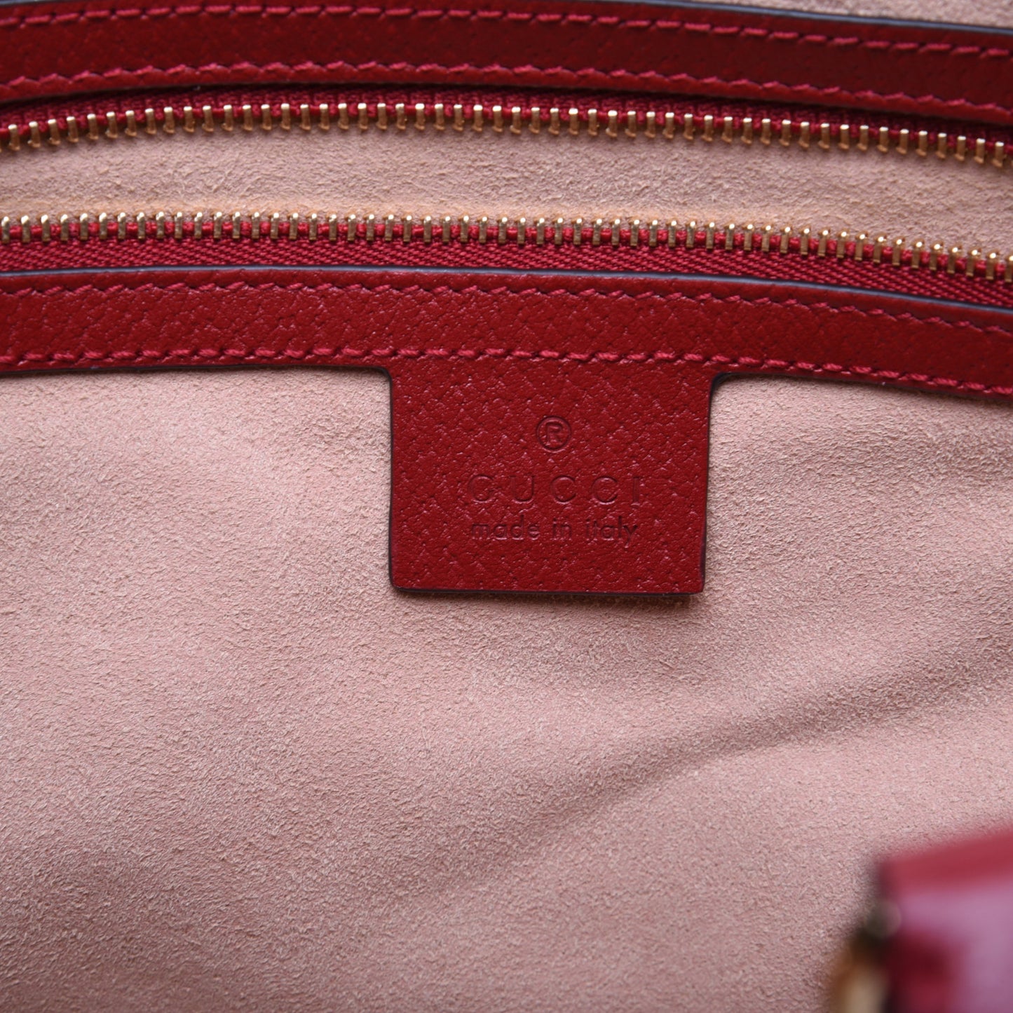 GG Supreme Monogram Flora Web Medium Ophidia Boston Red
