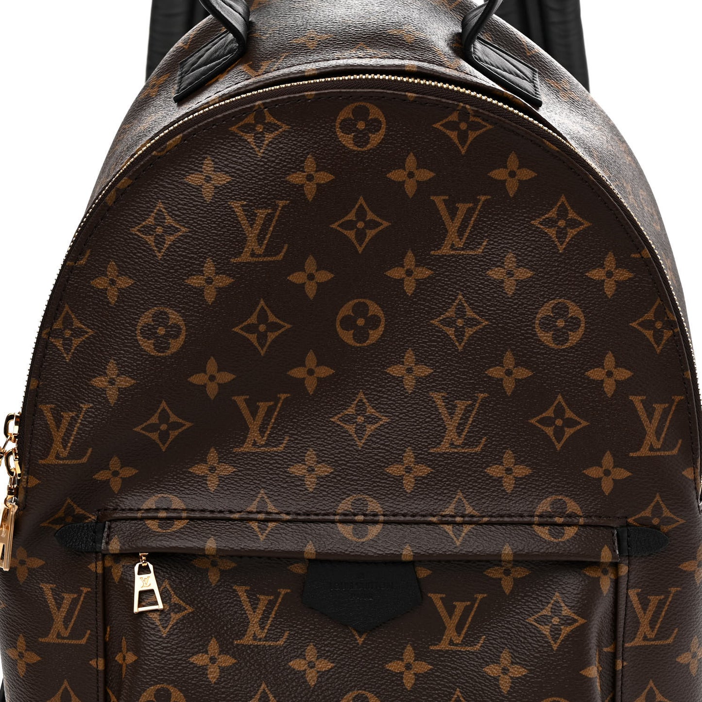 Monogram Palm Springs Backpack MM