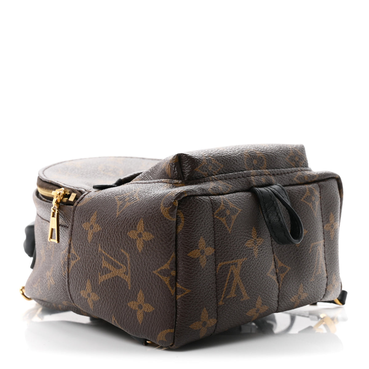 Louis Vuitton Monogram Palm Springs Backpack Mini 7 of 21