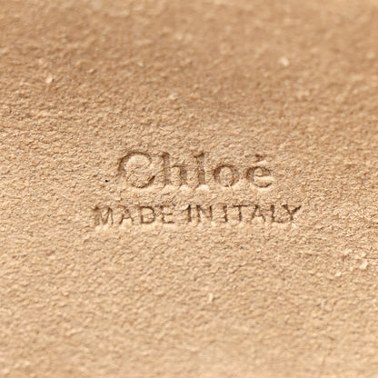 Chloe Suede Calfskin Medium Faye Shoulder Bag Tobacco 7 of 14