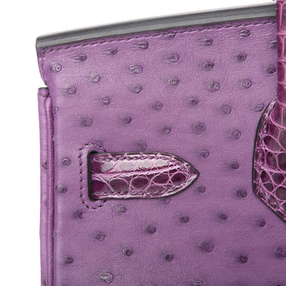 Hermes Ostrich Shiny Alligator Birkin Touch 30 Violine 11 of 34