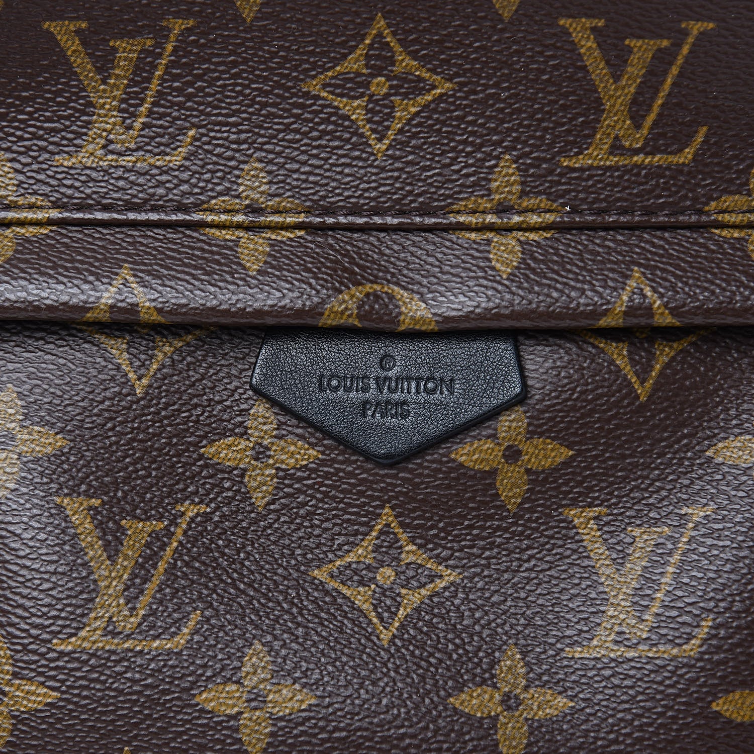 Louis Vuitton Monogram Palm Springs Backpack PM 7 of 11