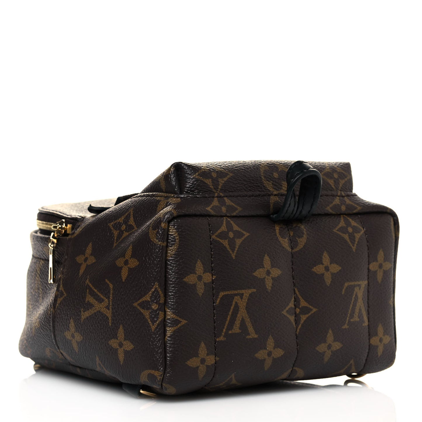 Monogram Palm Springs Backpack Mini