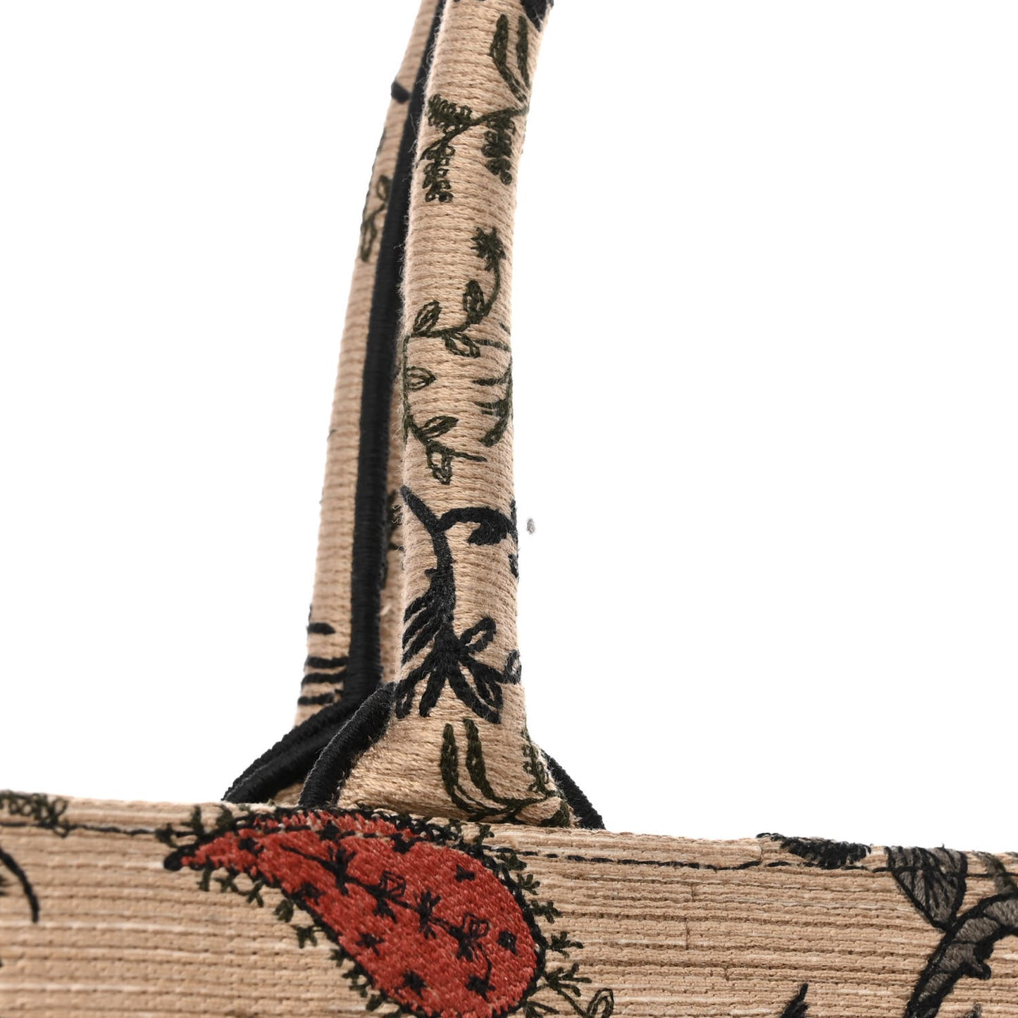 Canvas Embroidered Large Broderie Dior Flowers Book Tote Multicolor