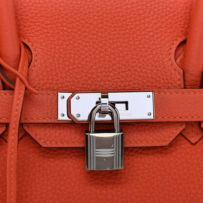 Hermes Togo Birkin 30 Feu 29 of 30