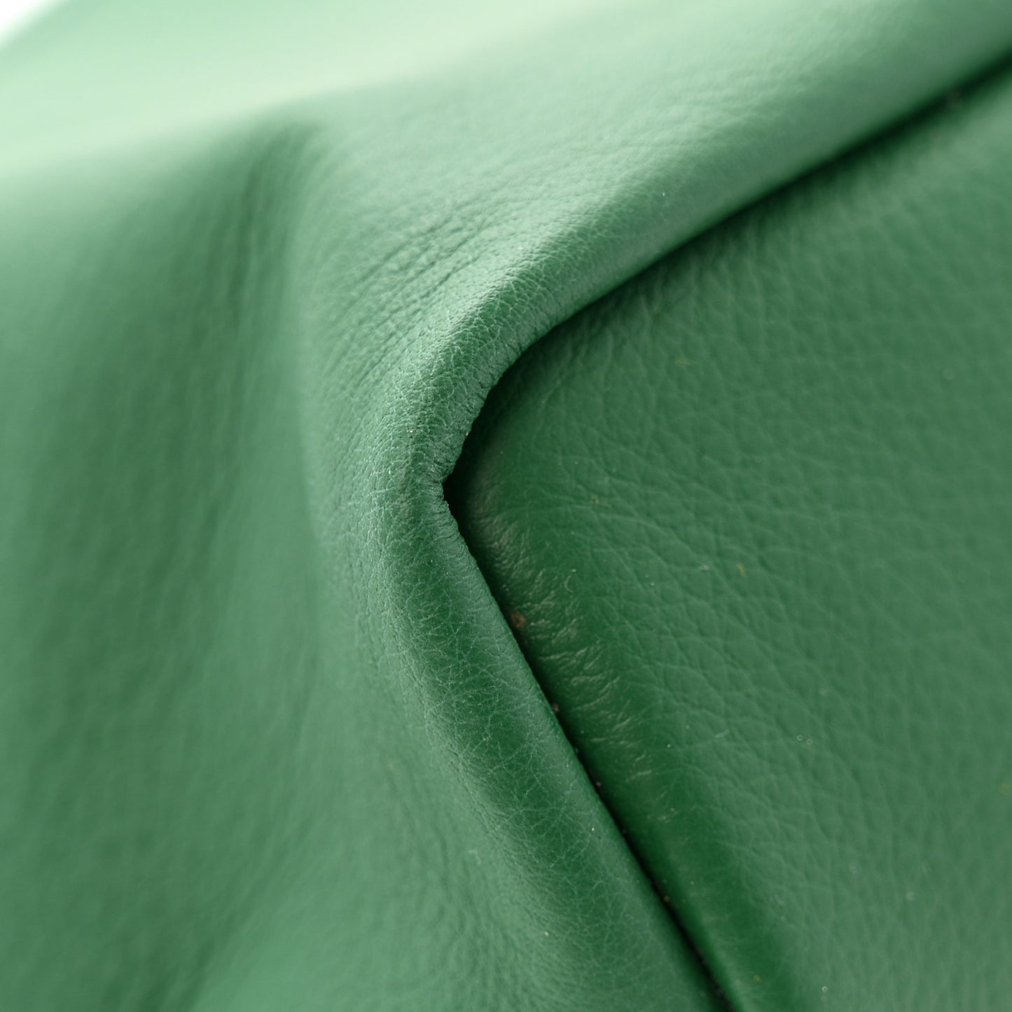 Goyardine Reversible Mini Anjou Green