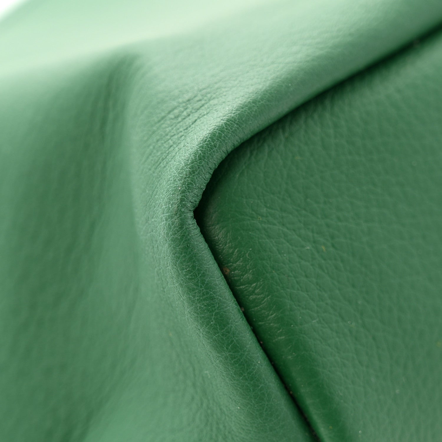 Goyard Goyardine Reversible Mini Anjou Green 19 of 20