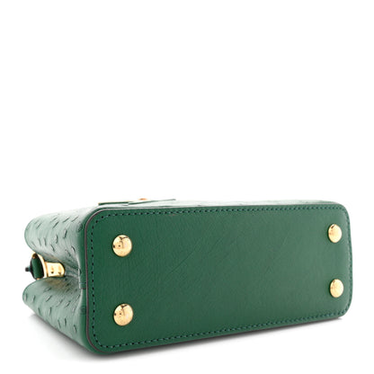 Louis Vuitton Ostrich Capucines Mini Mint 4 of 9