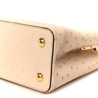 Louis Vuitton Ostrich Capucines PM Rose Champagne 10 of 10