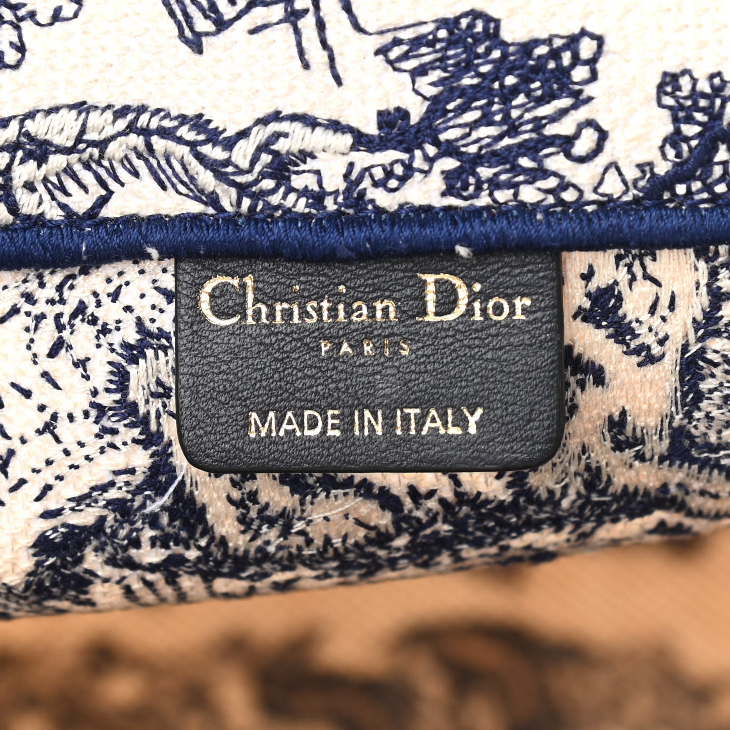 Canvas Embroidered Medium Dioriviera Toile De Jouy Book Tote Blue