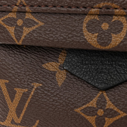 Louis Vuitton Monogram Palm Springs Backpack Mini 11 of 12
