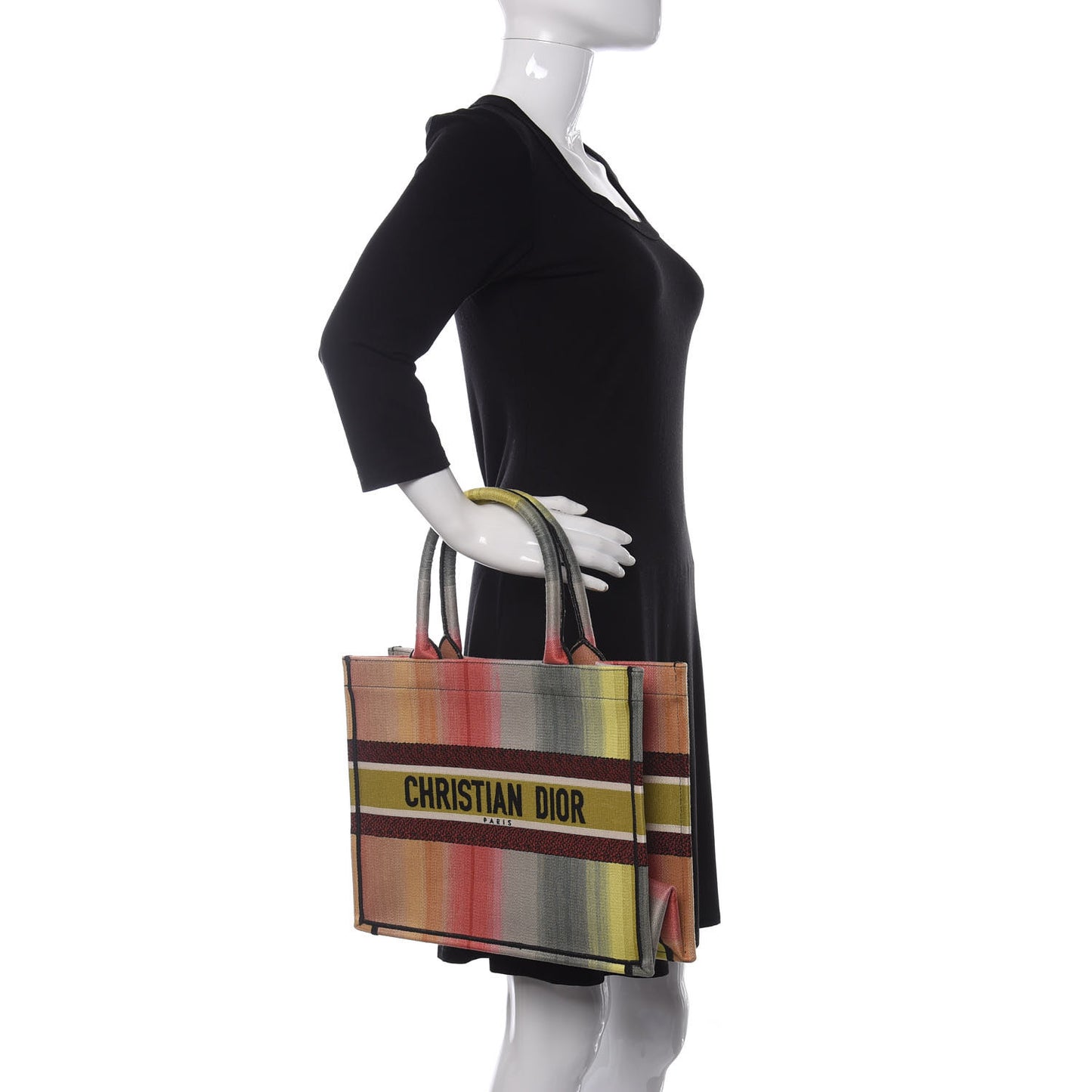 Canvas Embroidered Medium Dioraura Book Tote Multicolor