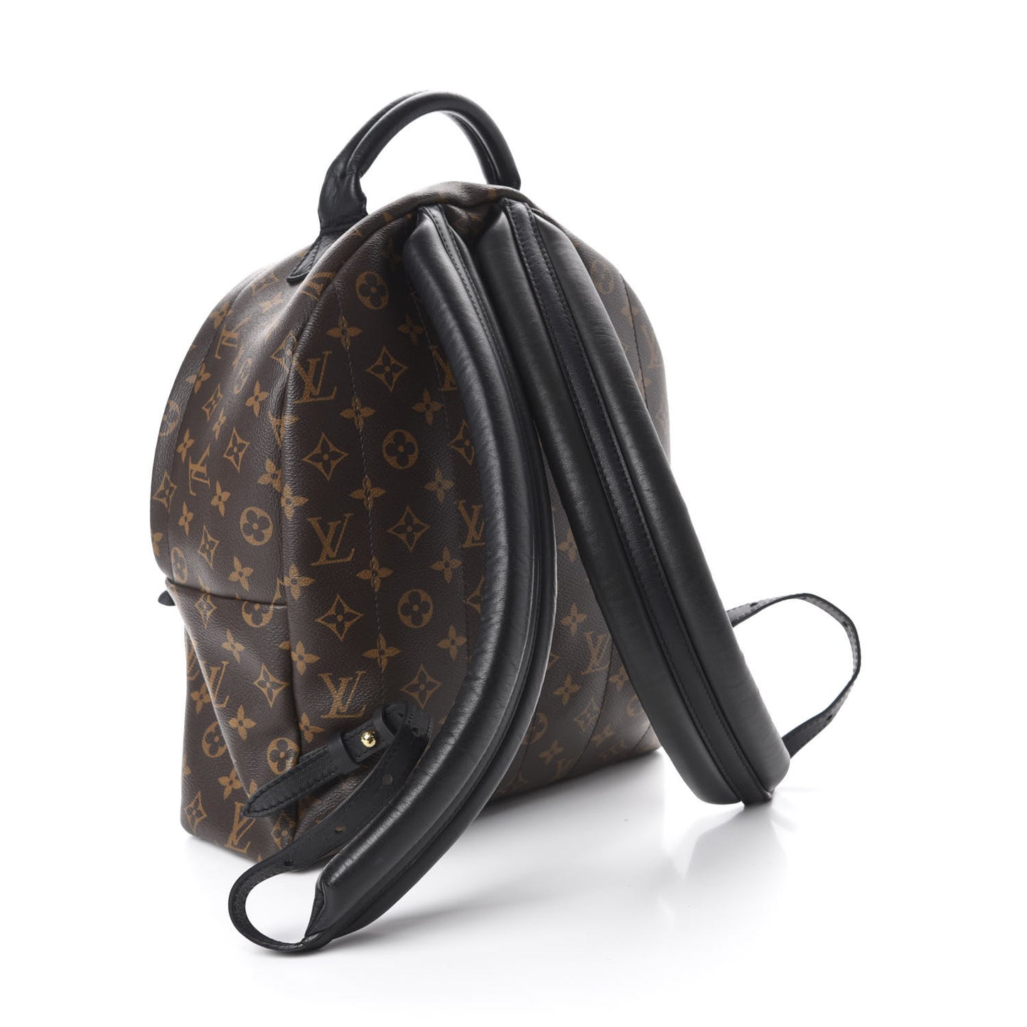 Monogram Palm Springs Backpack MM