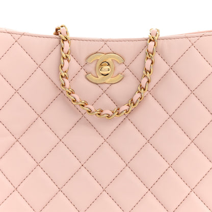 Chanel Lambskin Quilted Small Pearl Crush Hobo Light Pink 8 of 11