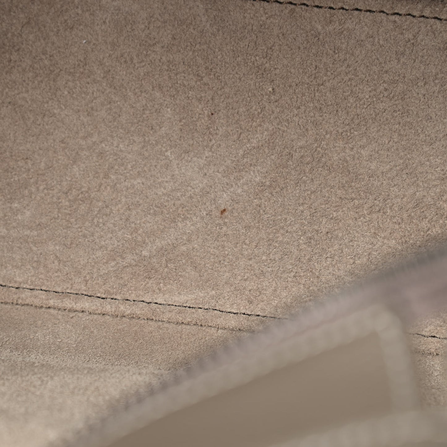Drummed Calfskin Nano Luggage Souris