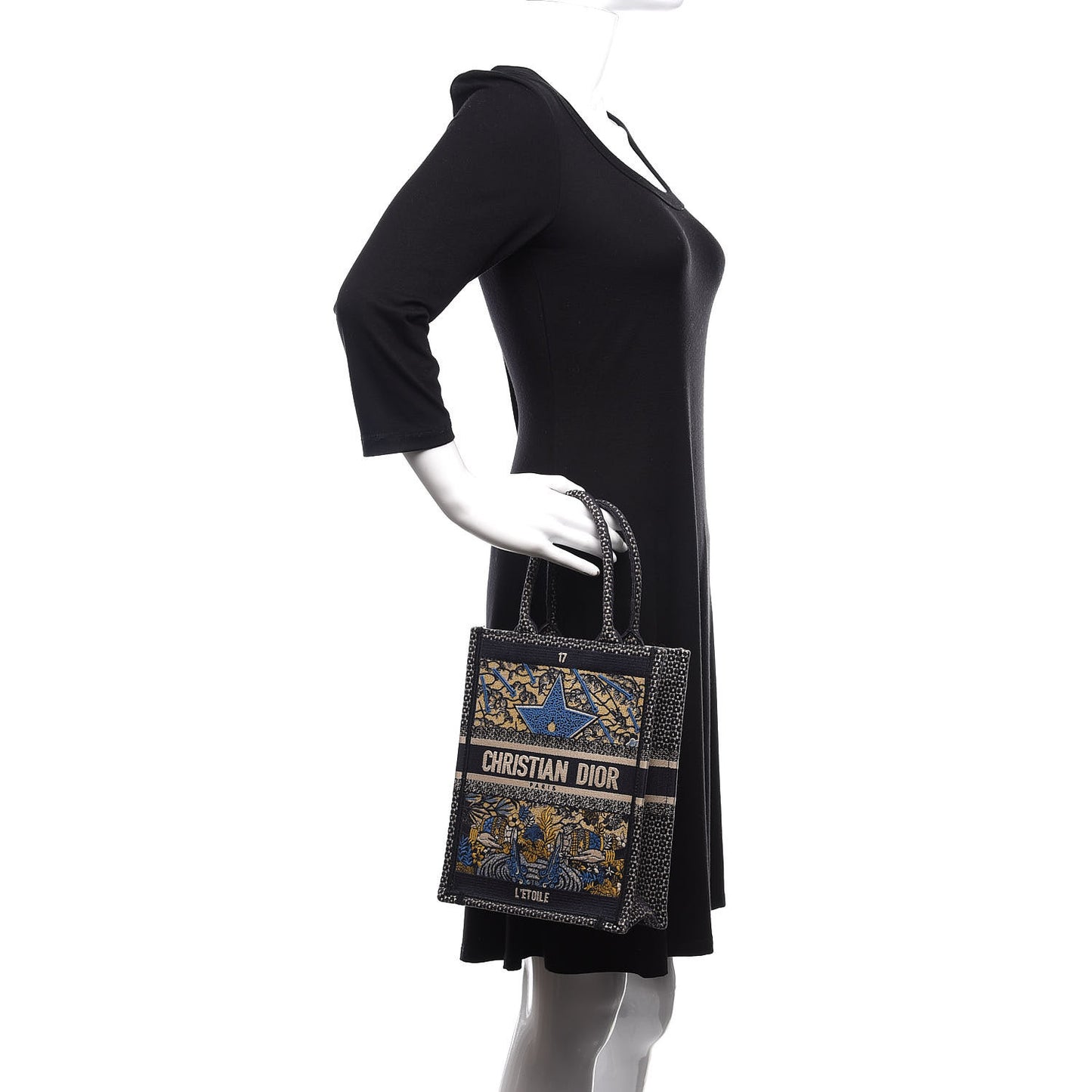 Canvas Embroidered Vertical L'Etoile Book Tote