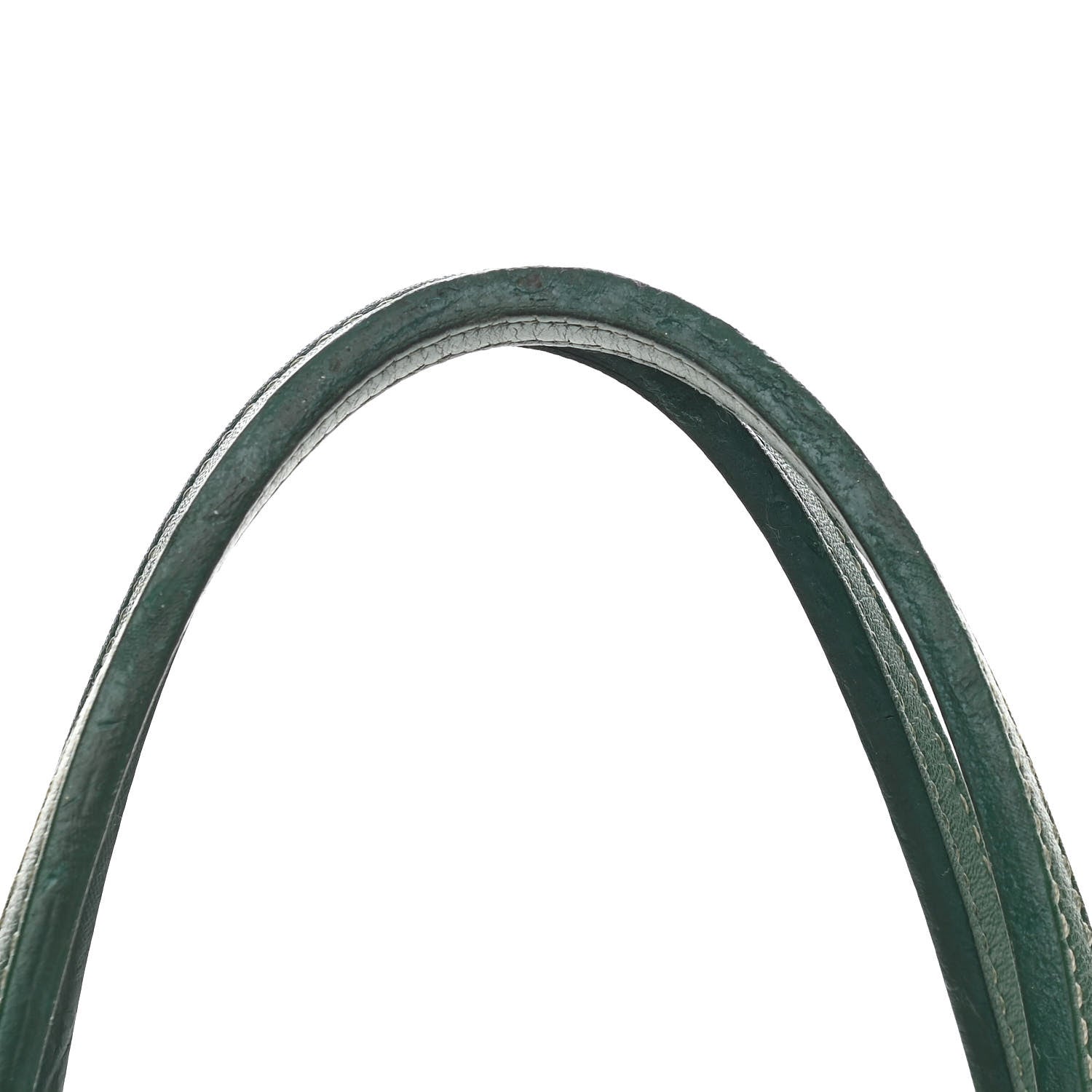 Goyard Goyardine Saint Louis PM Green 12 of 18