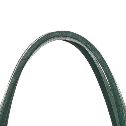 Goyard Goyardine Saint Louis PM Green 12 of 18