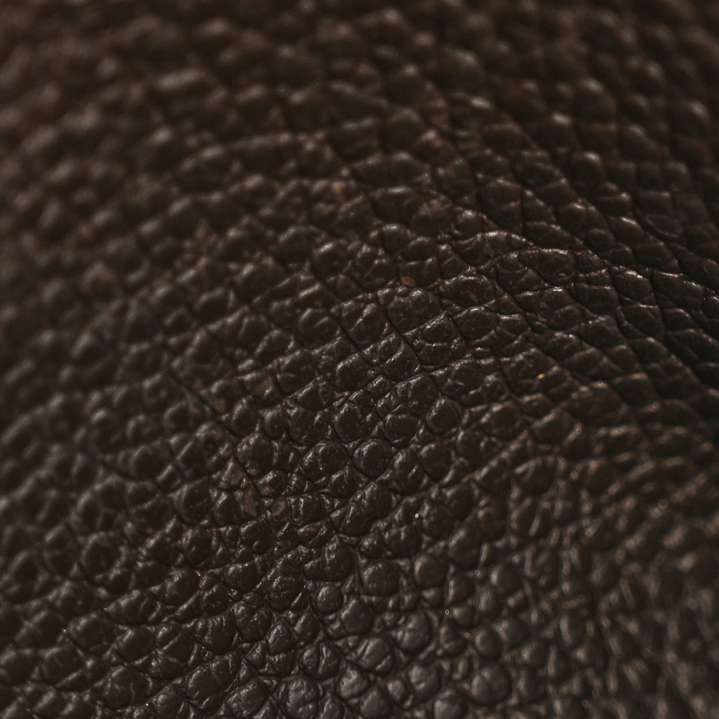 Empreinte Felicie Chain Wallet Zippered Insert Earth