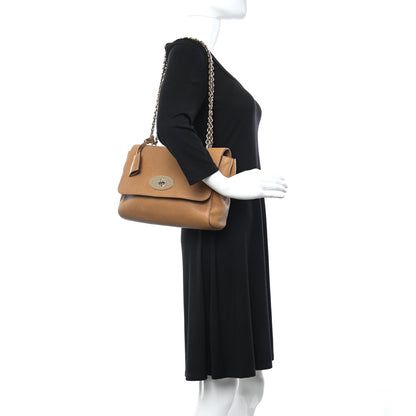 Mulberry Glossy Goatskin Medium Lily Deer Brown 2 of 15