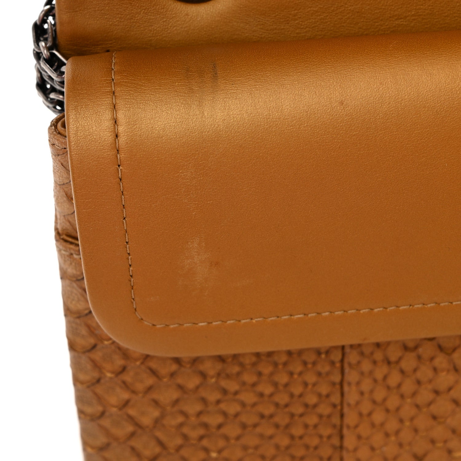 Chanel Metallic Snakeskin 2.55 Reissue 226 Flap Gold 11 of 12