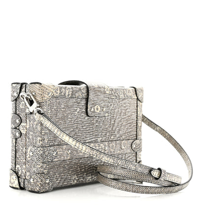 Louis Vuitton Lizard Petite Malle Silver 3 of 10