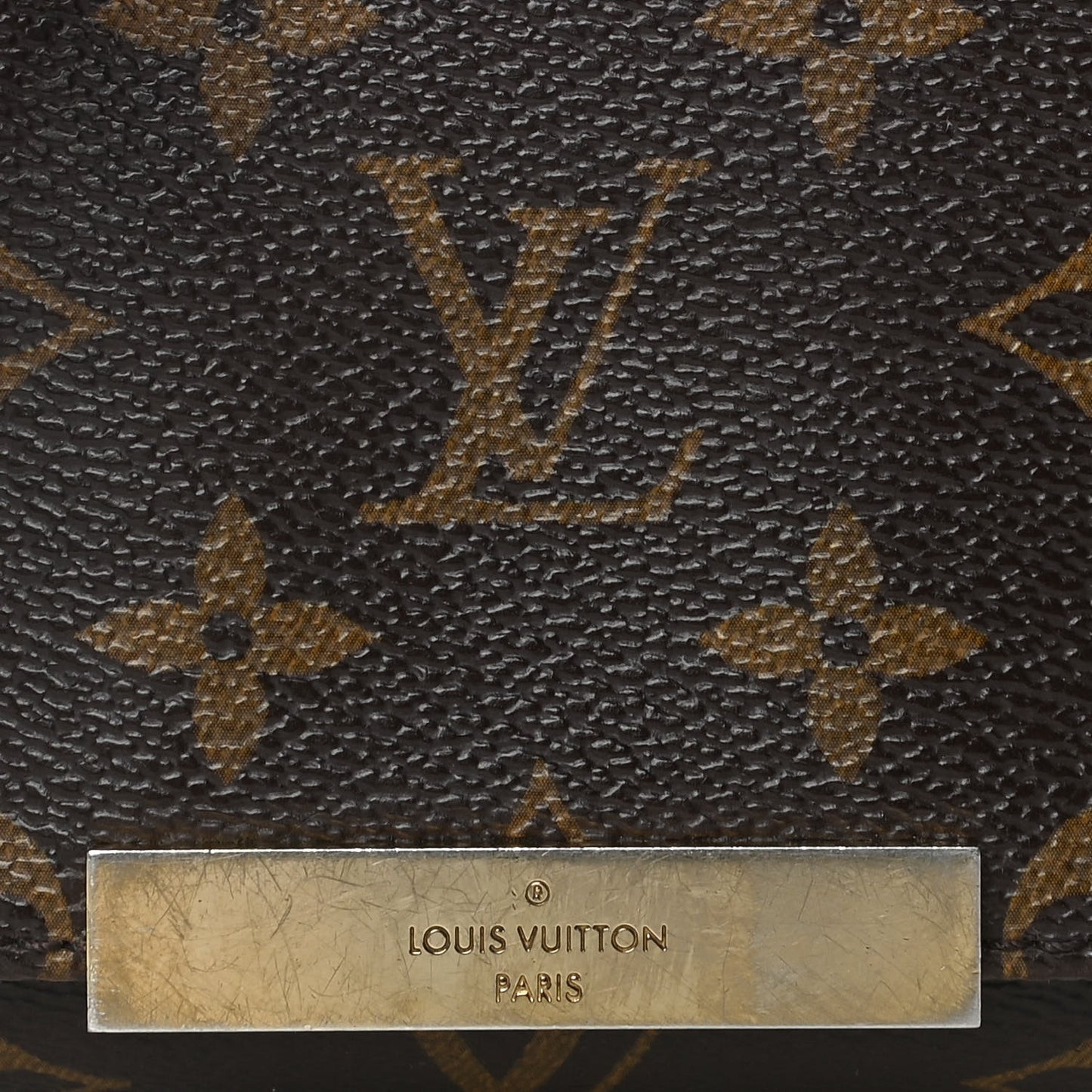 Monogram Favorite PM