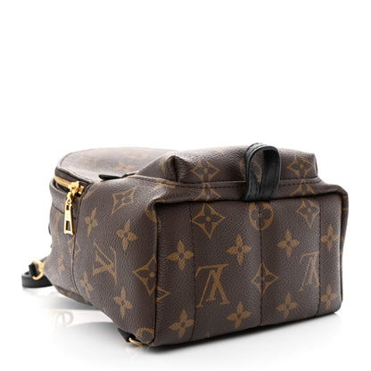 Louis Vuitton Monogram Palm Springs Backpack Mini 4 of 11
