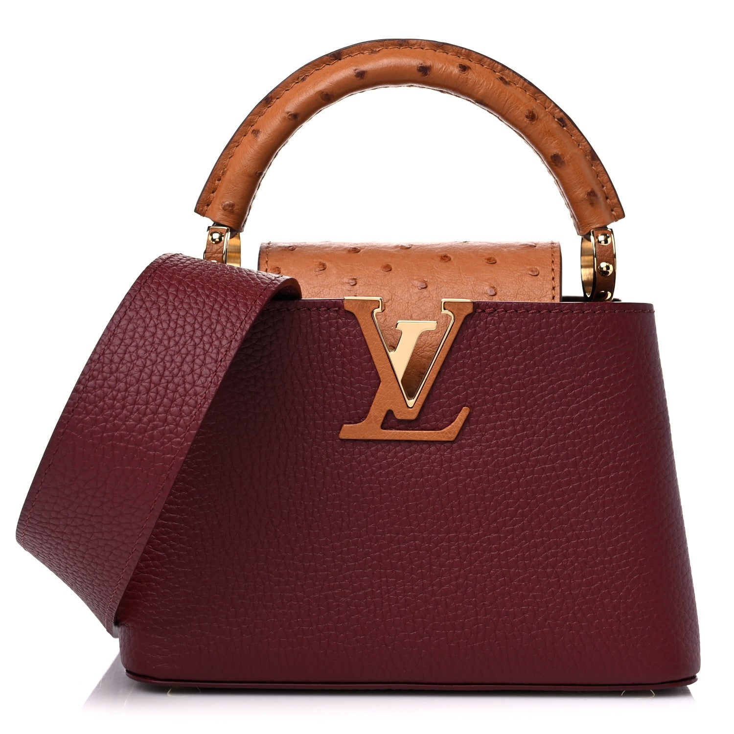 Louis Vuitton Taurillon Ostrich Mini Capucines Griotte Red Honey 1 of 9