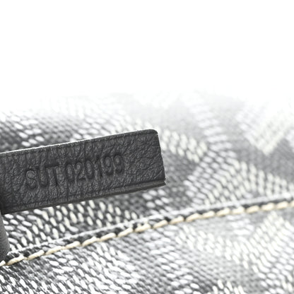 Goyard Goyardine Saint Louis GM Grey 9 of 12