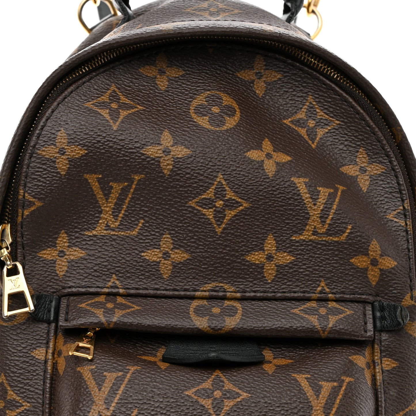 Monogram Palm Springs Backpack Mini