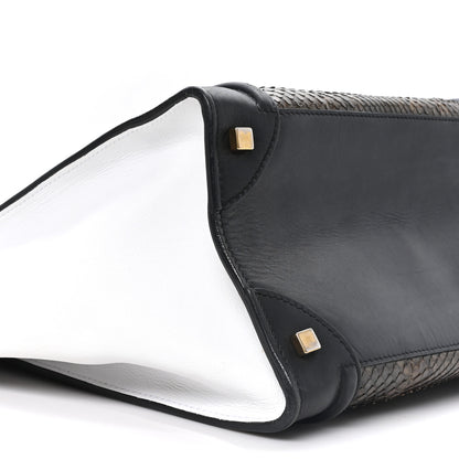 Celine Python Calfskin Mini Luggage Multicolor 8 of 12