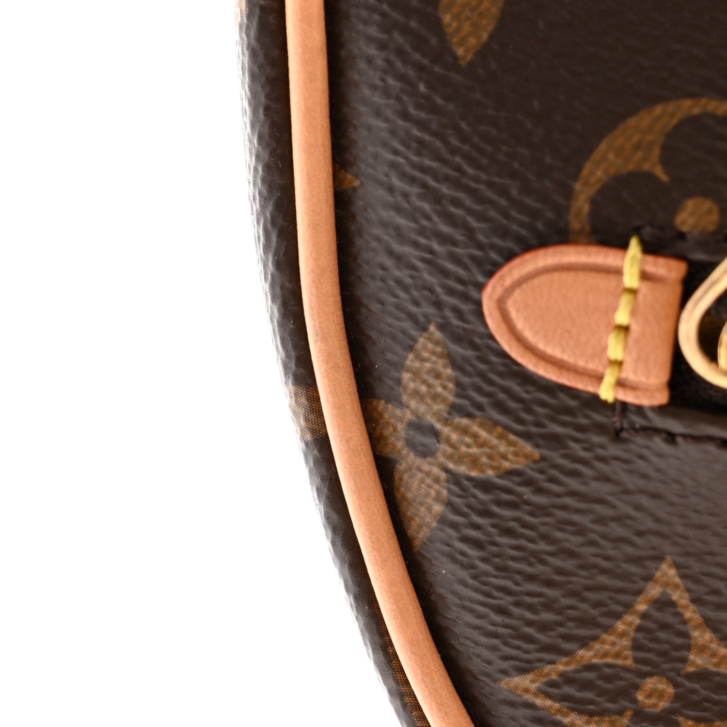 Louis Vuitton Monogram Loop 10 of 11
