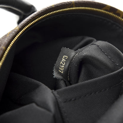 Louis Vuitton Monogram Palm Springs Backpack Mini 6 of 9