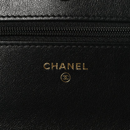 Chanel Lambskin Quilted Chanel 19 Wallet On Chain WOC Black 6 of 12
