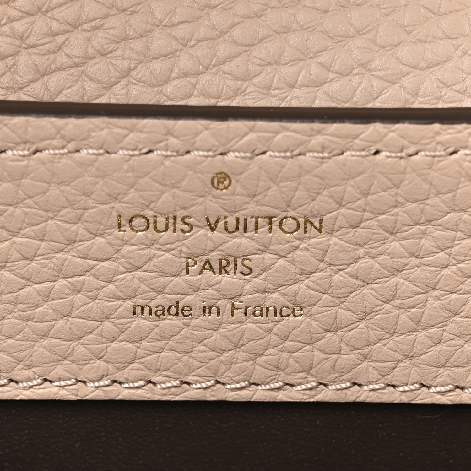 Louis Vuitton Taurillon Embellished Flower Crown Mini Capucines Galet 6 of 10