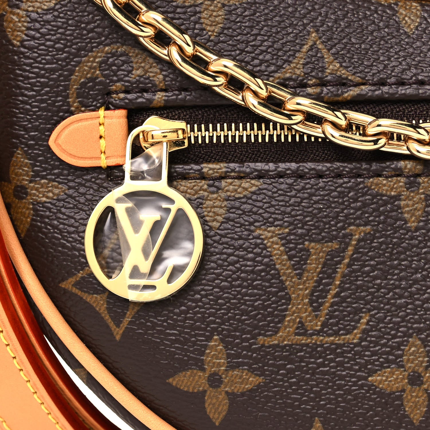 Louis Vuitton Monogram Loop 7 of 12