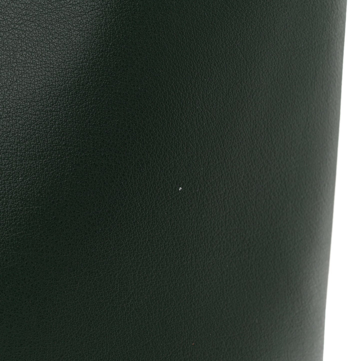Calfskin North-South Shopping Tote Green