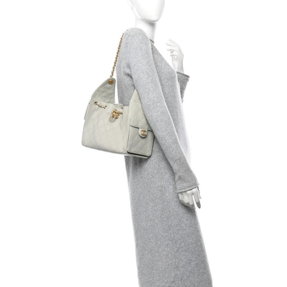 Chanel Caviar Quilted Small Chanel 25 Handbag Light Grey 2 of 10