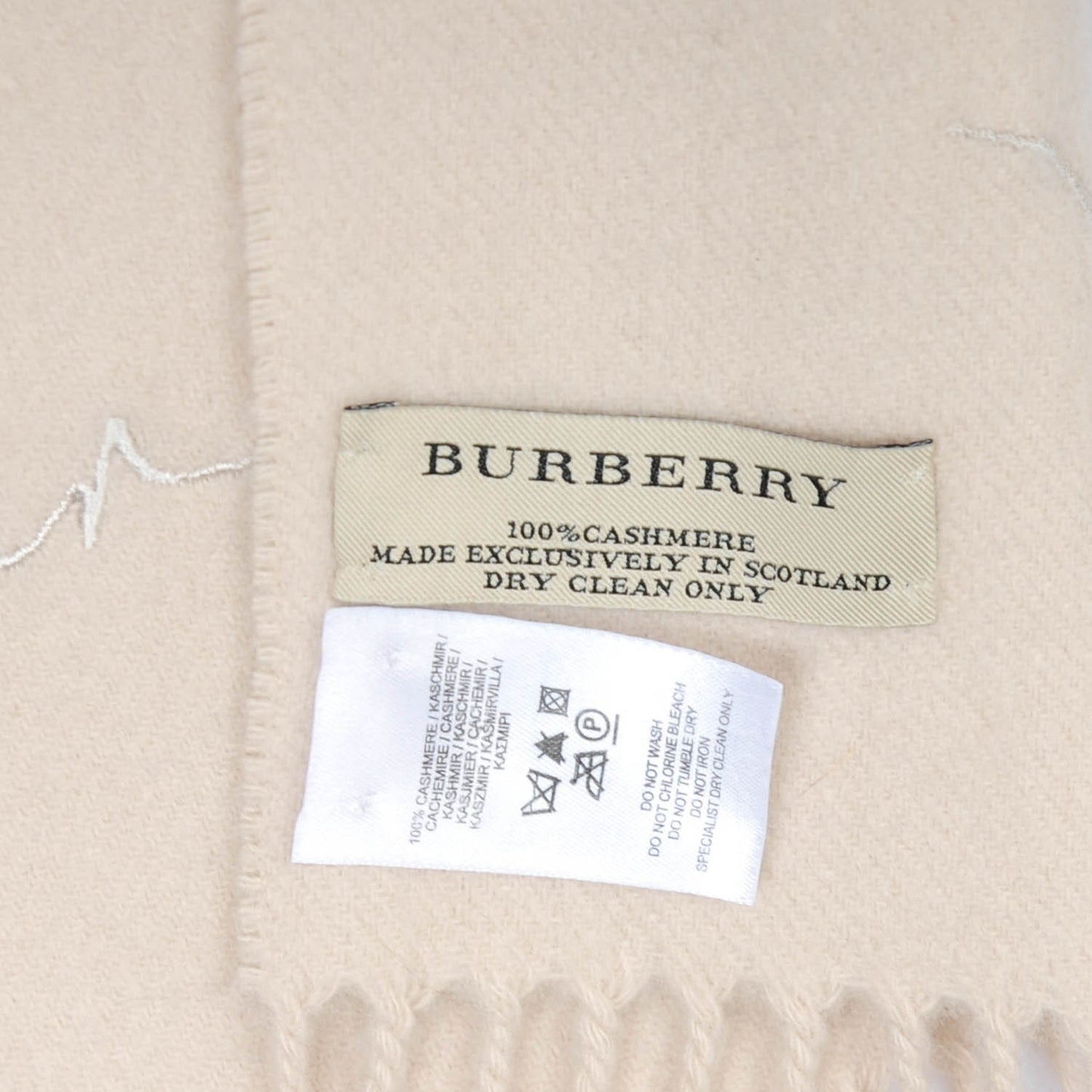 Cashmere Embroidered Fringe Scarf Ivory