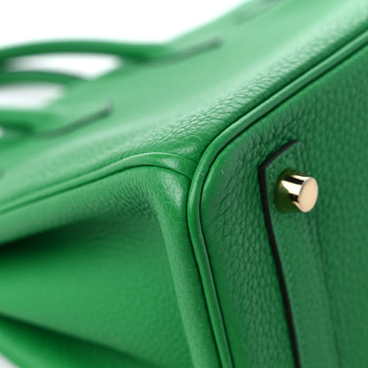 Hermes Togo Birkin 25 Bambou 10 of 12