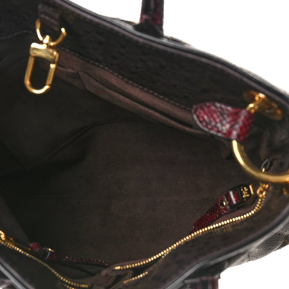 Louis Vuitton Monogram Etoile Exotique MM Bordeaux 4 of 9
