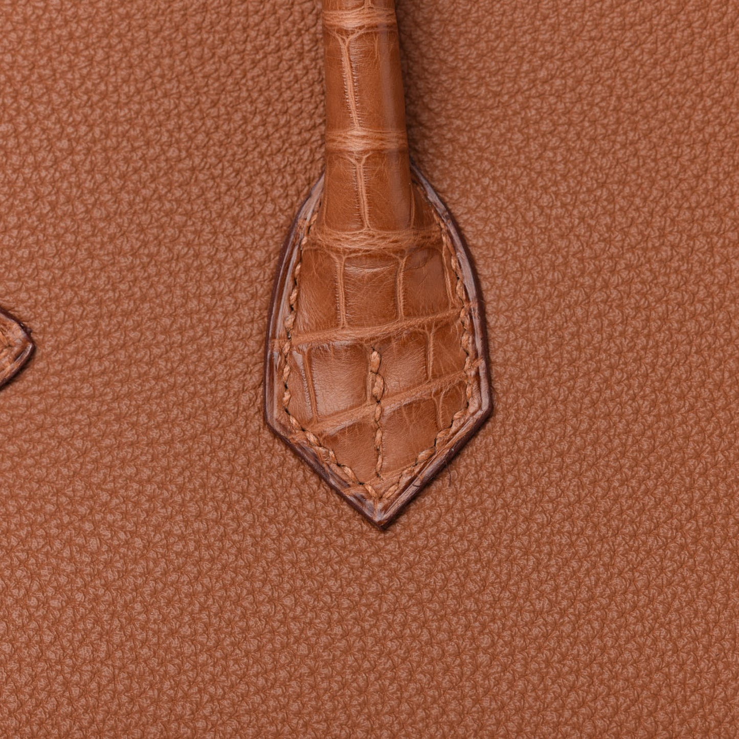 Togo Matte Alligator Birkin Touch 25 Gold