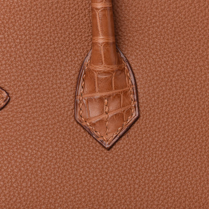 Hermes Togo Matte Alligator Birkin Touch 25 Gold 10 of 34